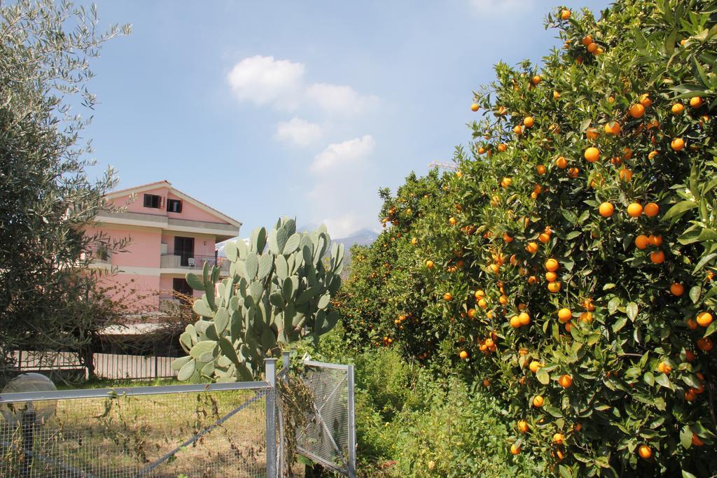 Gli Aranci Dell'Etna Villa Mascali Exteriör bild